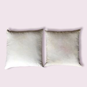 Two Accent Pillows Filled with Feathers and Down